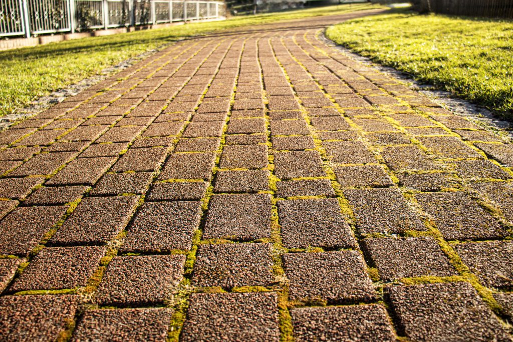 Détail d'une allée en pavés de pierre avec joints naturels en mousse
