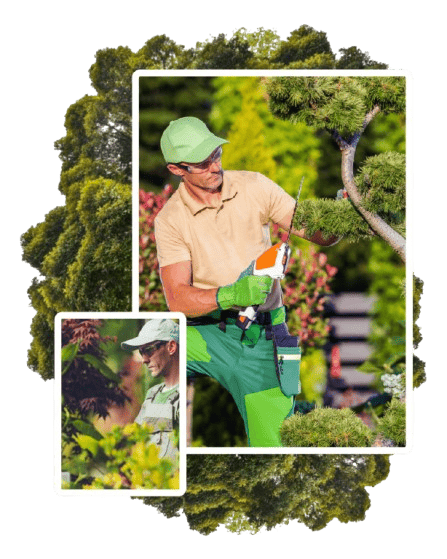 Logo expertise Paysages des Olonnes aménagement de jardin et terrasse